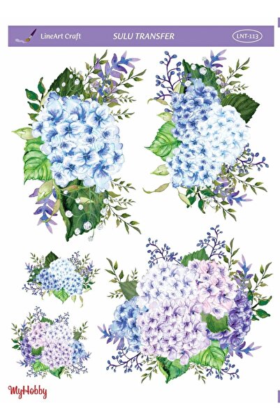 MyHobby Sulu Transfer Lnt113 25x35cm