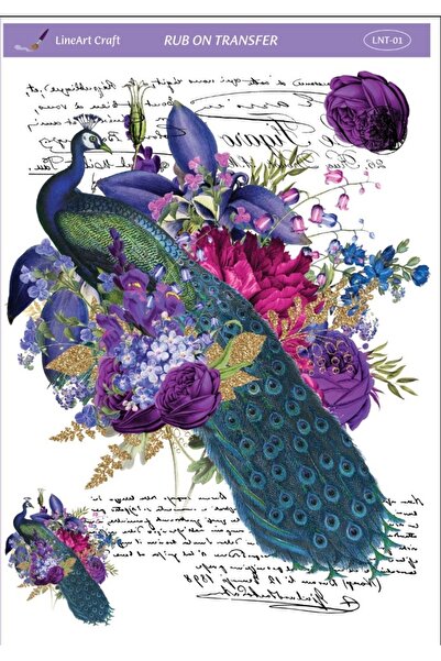 LİNEART Rub On Transfer Lntxl001 35x50cm