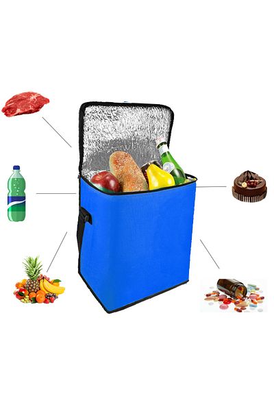 eryatex Hot Cold Holder Bag Thermal Camping Picnic Bag 25 Lt Food Carry Thermos Bag 4 Ice Batteries