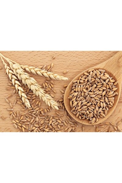 KAPPADOKİA Kızıl Buğday, Spelt (dinkel) Unu 1 Kg