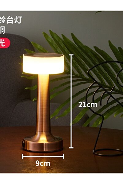 Protonust Dekoratif Masa Lambası Led Şarjlı 3 Renk Lamba Dokunmatik Karartma Atmosfer Gece Lambası