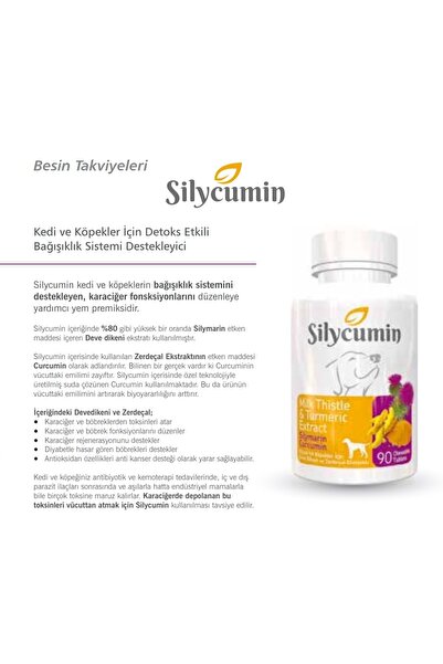 Bio PetActive Pet Active Silycumin Köpekler Için Zerdeçal Ve Devedikeni Table...