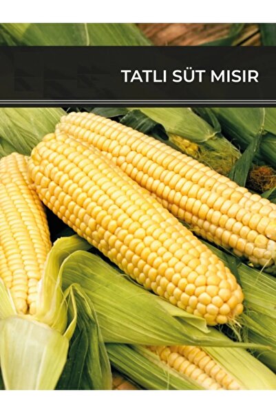 ÇERMİK FİDANCILIK Sarı Mısır Süt Mısır Tohumu 25 Gr