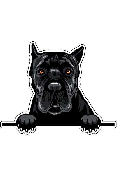 TSC ملصق سيارة كين كورسو لاصق 18 سم