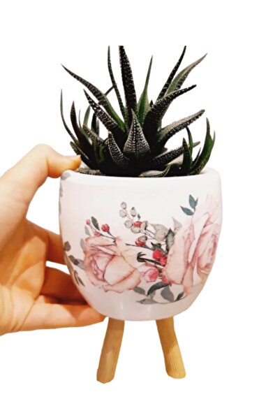 Dekoratif atölye Gül Motif Taş Saksı - Ahşap Ayaklı Beton Saksı