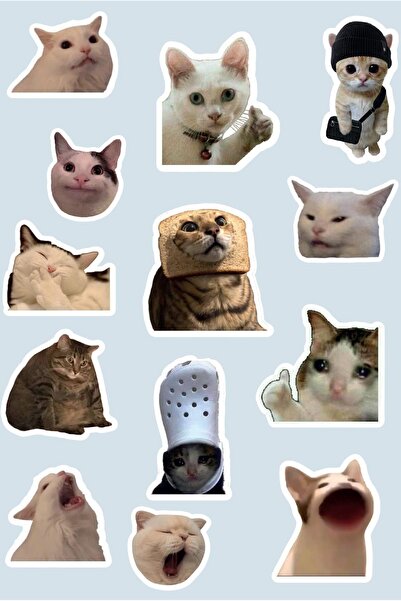 Anime Marketi Kedili Sticker Seti (13 Adet)
