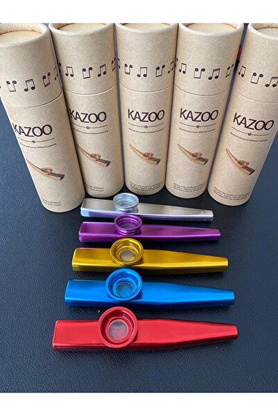 GMC MUSIC STORE Gmc Πολύχρωμο Μεταλλικό Κουτί Kazoo