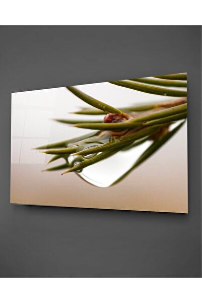 TAULART Pictură orizontală pe sticlă cu picături de apă