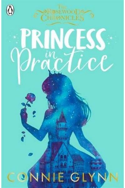 Penguin Books Princess In Practice