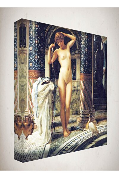 Generic Brand Tablou pe pânză - 50x70 cm - Imagini Nud - Nu04