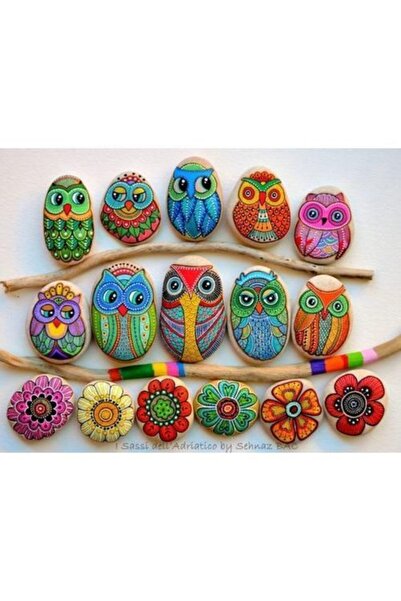 Hobialem Mortoys, Taş Boyama Seti, Xl, Plus, Stone Painting, Hobi Boyama Seti, Sanatsal Etkinlik