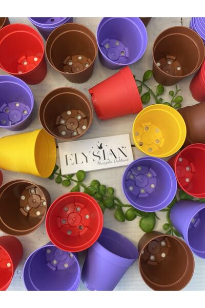 Elysian Üretim Saksı 20 Adet Kaktüs Ve Sukulent Üretim Saksısı 5,5x5 Cm Renga...