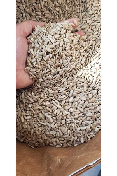Vivid Bird Soyulmuş Iç Çekirdek 500 Gr
