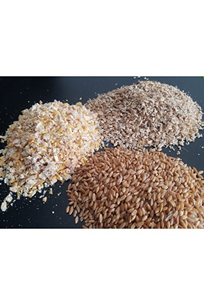 Doğalsan Tarım Tavuk Yemi 1 Kg Kırık Mısır Buğday Kırık Arpa Karışımı Doğal Kanatlı Yemi Güvercin Yemi