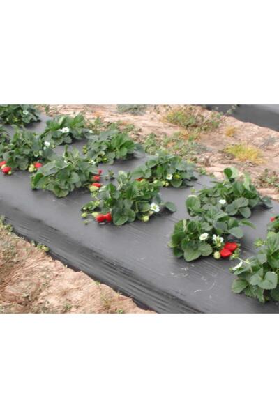 Doğalsan Tarım Malç Naylonu Uzunluk 10 Metre Eni 130 Cm Çilek Naylonu Malç Örtüsü Çilek Örtüsü Siyah Malç Naylon