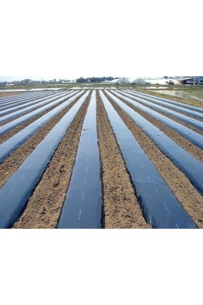 Doğalsan Tarım Malç Naylonu Uzunluk 10 Metre Eni 130 Cm Çilek Naylonu Malç Örtüsü Çilek Örtüsü Siyah Malç Naylon
