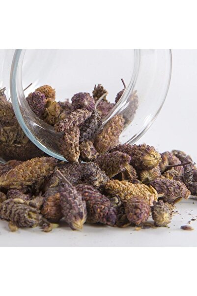 YILMAZ ŞİFALI BİTKİLER VE BAHARAT ÜRÜNÜ عشب كاراباش 50 جرام