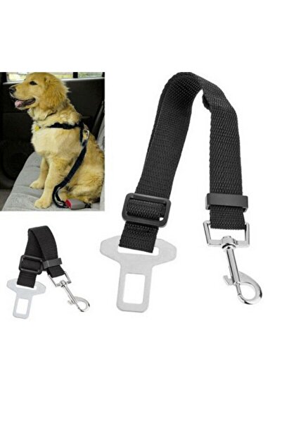 Ankaflex Car Vehicle Cat Dog Collar