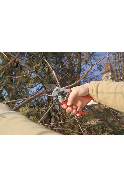 Felco 31 Model Pruning Shears - Right and Left Hand Sizes