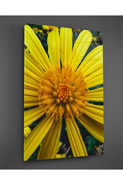 TAULART Pictură verticală pe sticlă cu flori galbene macro