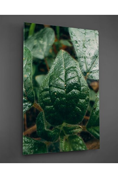 TAULART Makro zelena listova, vertikalna staklena slika