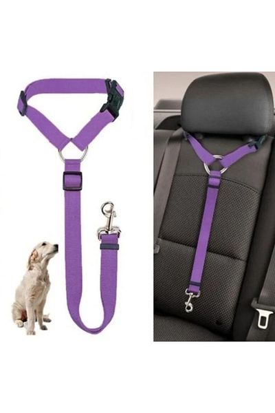 Pet collars hotsell