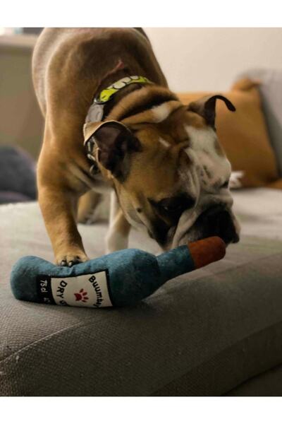 Genel Markalar Bottle Toy, Köpek Oyuncağı, Kedi Oyuncağı, Peluş Oyuncak (Sarı)