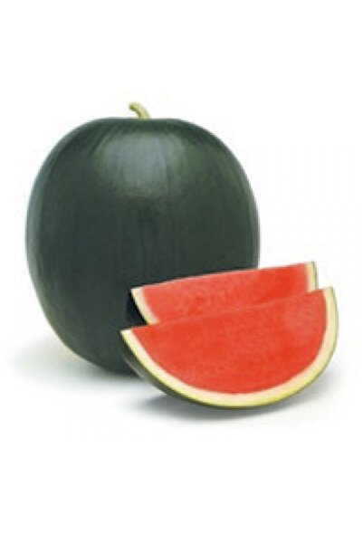 Seminis Fenway F1 Çekirdeksiz Siyah Karpuz Tohumu (5 Adet)