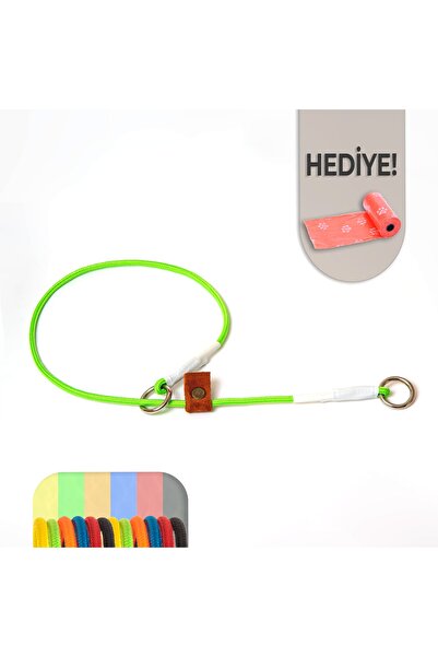 Pakuna Köpek Eğitim Tasması, Ayarlanabilir Boğma Tasma, Renkli Köpek Tasması ...