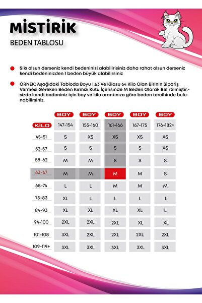 MİSTİRİK Polfa Model Külot Dikişsiz Iz Yapmayan Lazer Kesim Külot Spor Korse Dikişsiz Slip Külot Siyah Renk