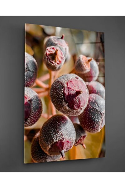 TAULART Вертикален стъклен панел с хвойнови плодове