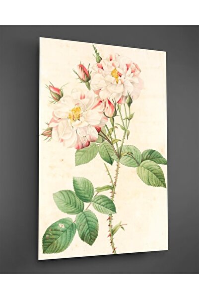 TAULART Pictură pe sticlă cu trandafiri albi