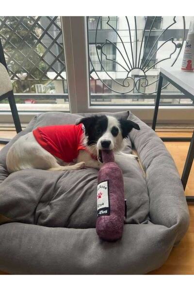 Genel Markalar Bottle Toy, Köpek Oyuncağı, Kedi Oyuncağı, Peluş Oyuncak (Sarı)