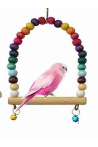 SENNEDİLERSEN Budgie Swing Quality Colorful