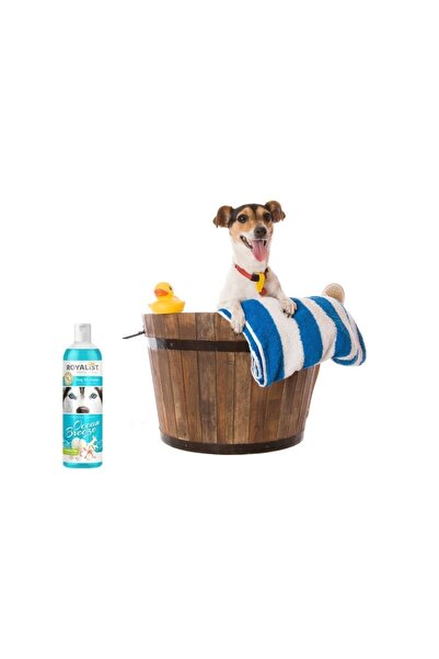 Royalist Dog Shampoo Parabensiz Okyanus Esintisi Köpek Şampuanı 400 ml