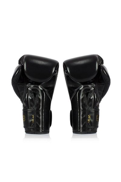 Fairtex Bgvg1 Glory Professional Boxing Gloves Muay Thai Gloves