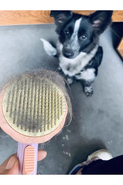 XTRIKE ME Pet Brush with Automatic Cleaning Button Cat Dog Hair Collector Comb,