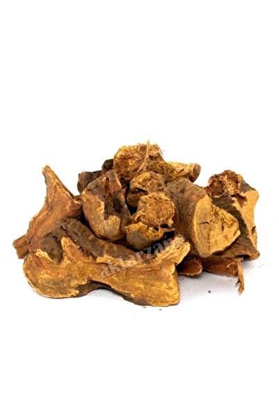 Aktarzane Ravent Kökü 50gr