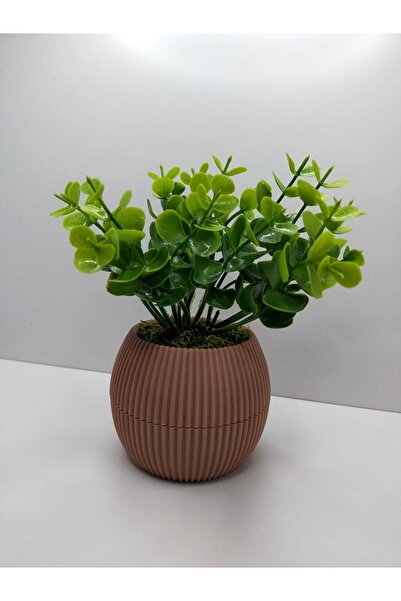 DDTREND Mini Saksıda Yapay Çiçek Bitki Şimşir Gerçek Taş Yosunlu Toplam 18 Cm...