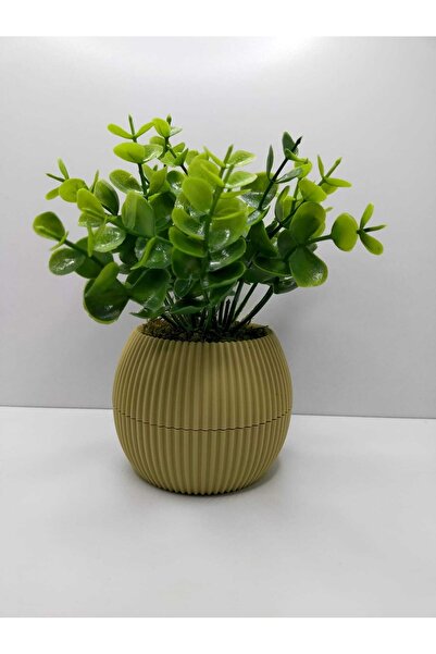 Artificial Flower Plant in Mini Potted Boxwood Real Stone Algae Total 18 Cm Decorative Table Shelf Flower