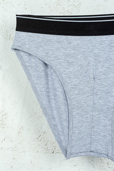 BSM 3-Piece Men's Gray Modal Cotton Soft Breathable Briefs
