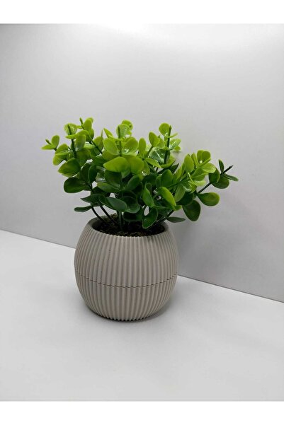 DDTREND Mini Saksıda Yapay Çiçek Bitki Şimşir Gerçek Taş Yosunlu Toplam 18 Cm Dekoratif Masa Raf Çiçeği