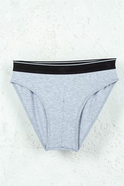 BSM 3-Piece Men's Gray Modal Cotton Soft Breathable Briefs