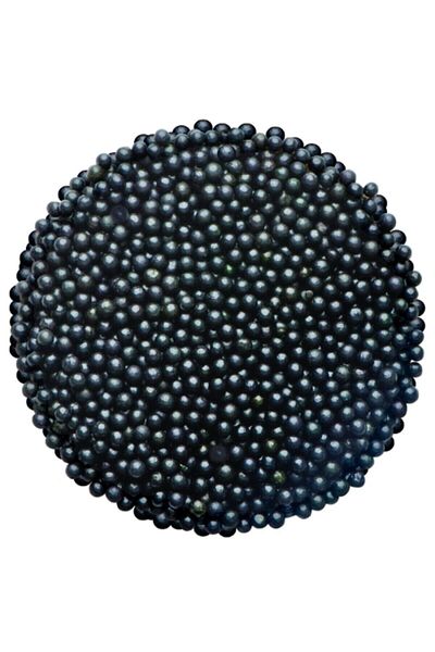 Dr. Gusto Cake Pops Decoration Candy 2mm Bead Black (45 g)