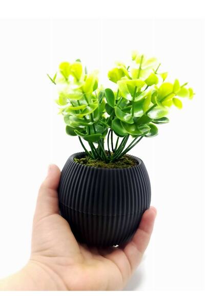 DDTREND Mini Saksıda Yapay Bitki Şimşir Gerçek Taş Yosunlu Toplam 18 Cm Dekor...