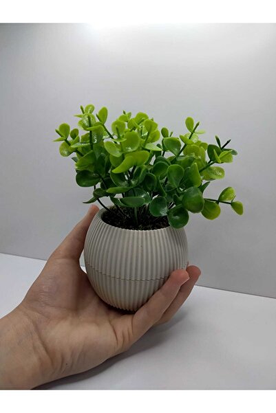 DDTREND Mini Saksıda Yapay Çiçek Bitki Şimşir Gerçek Taş Yosunlu Toplam 18 Cm Dekoratif Masa Raf Çiçeği