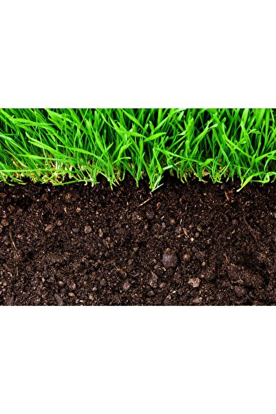 Asenya Çim Kapak Toprağı 200 Kg Gübreli Toprak Çim Ekim Toprağı Çim Örtü Toprağı