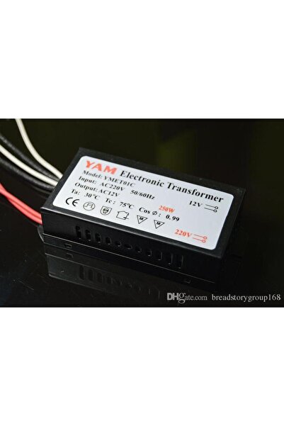 OKYANUSAYD 12 Volt 250 Watt Avize Trafosu Halojen Elektronik Transformatör 220 Volt