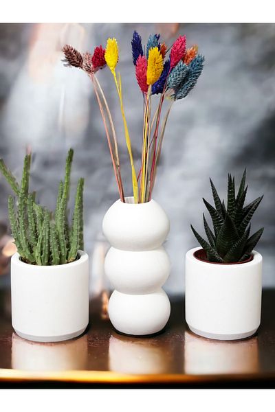 stonnish Raw White 14 cm Bubble Vase - Mini Cylinder Succulent Decorative Set of 2