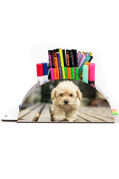 kutuTR Wooden Vip Dog Series Rainbow Ruled Desktop Pen Holder Organizer Assembled Boxed